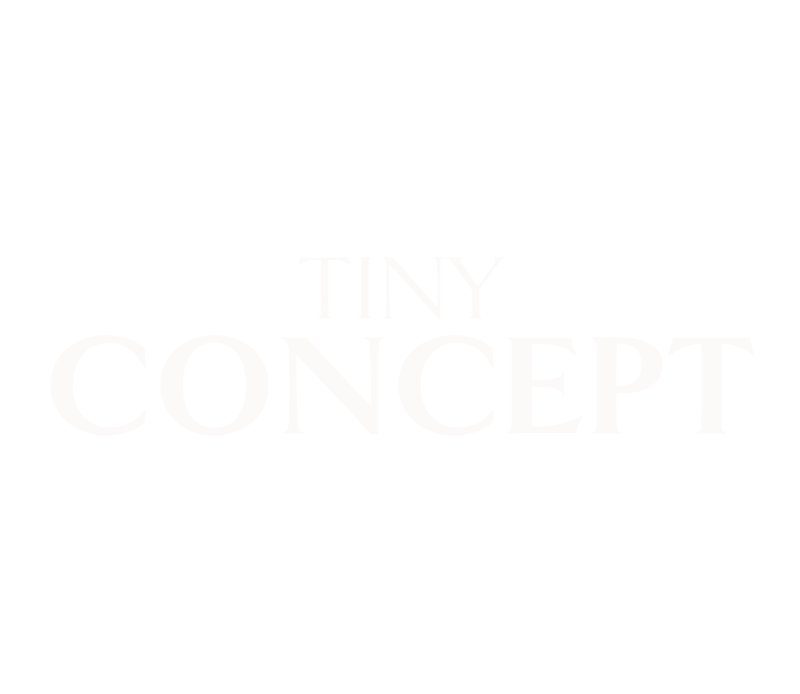 TINY CONCEPT
